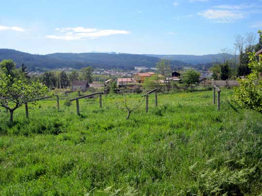 Imaxe da aldea de Pedreda